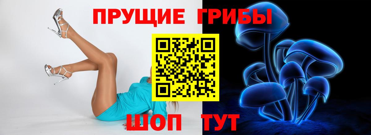цены наркотик  Псилоцибиновые грибы прущие грибы  Орёл  Вход с VPN  Псилоцибиновые грибы мухоморы 